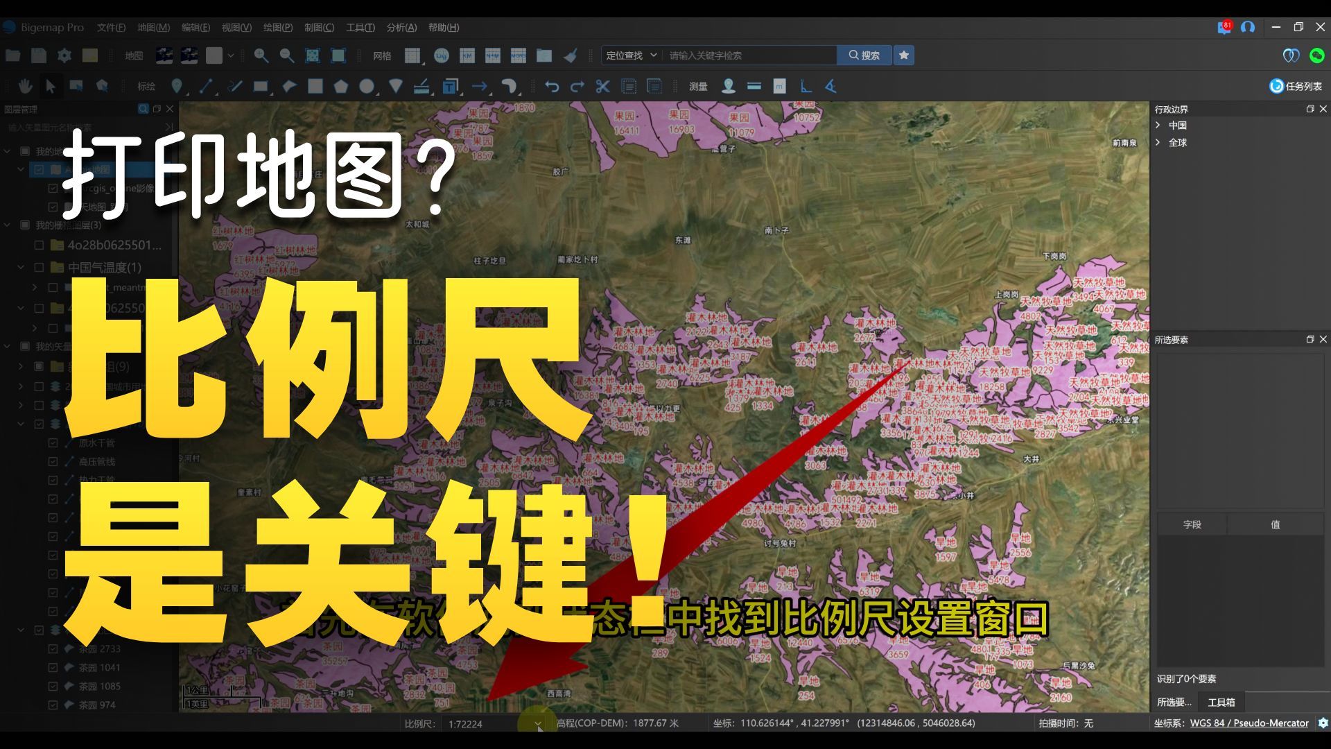 按比例尺显示地图