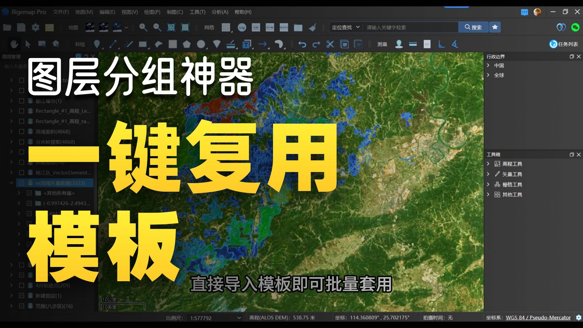 分组设置样式及样式模板