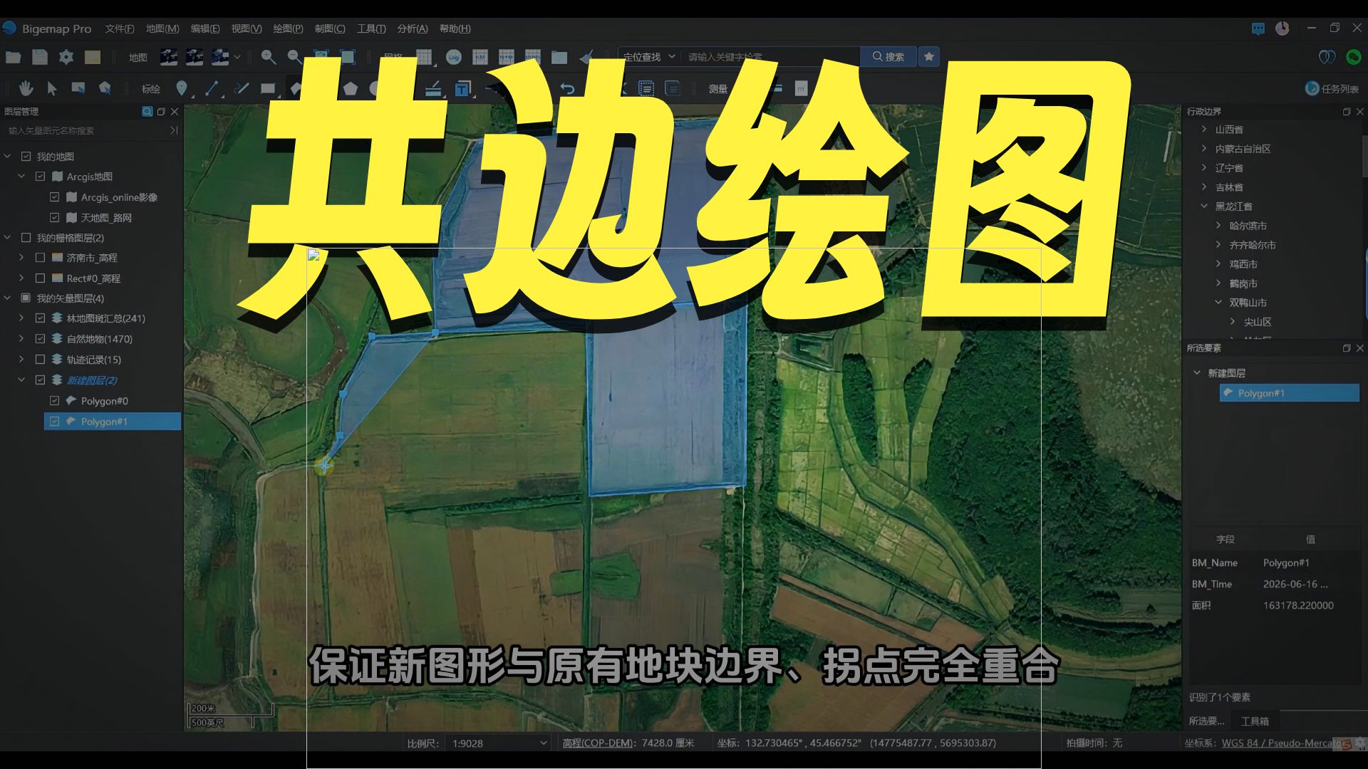 共点共边画图